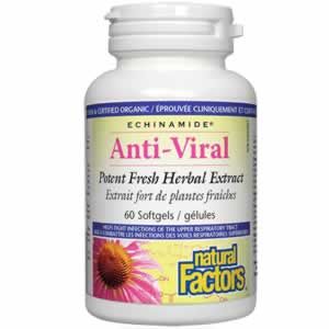 Echinamide Anti-Viral Анти-Вирал х 60  Подкрепа за респираторното здраве, профилактика и терапия на простуда и грип.